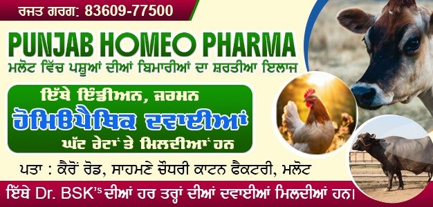 Doctor (Homeopathic)